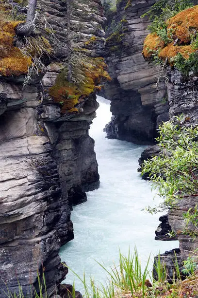 Athabasca Falls is a waterfall in Jasper National Park on the upper Athabasca River, approximately 30 kilometers south of the city of Jasper, Alberta, Canada, and west of Icefields Parkway.