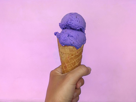 Close-up shot of unrecognizable female hands holding an ice cream cone with two scoops of blueberry gelato on top.The background is in pink color.