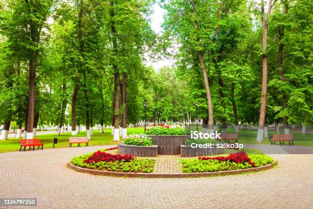 Public Park In Vladimir City Russia Stock Photo - Download Image Now - Public Park, Natural Parkland, Vladimir - Russia