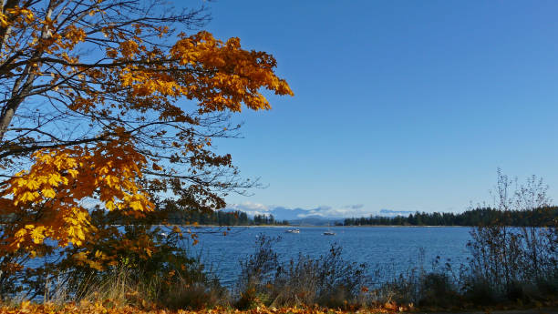 istock Quadra Island, Vancouver Island, British Columbia, Canada 1334800342