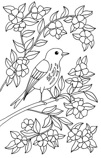 A beautiful bird is sitting on a branch of a blooming tree in flowers. Coloring page for children and adults. Vector illustration.