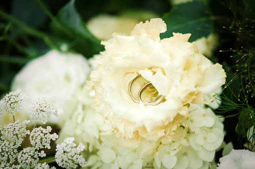 Wedding Rings and beautiful flowers.
