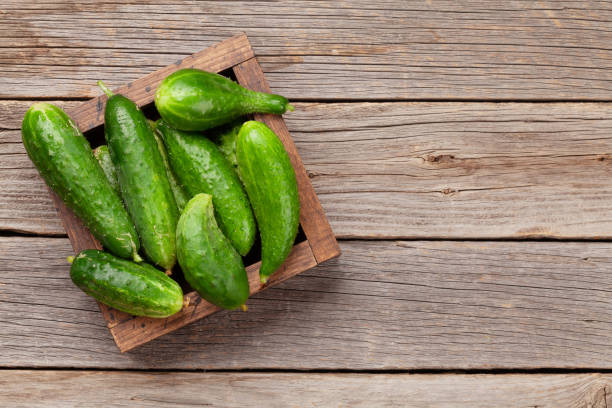 istock Fresh garden cucumber 1334804352