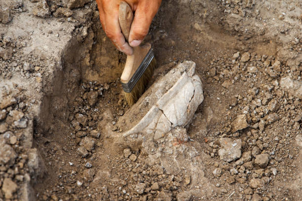 istock Archaeological excavations, archaeologists work, dig up an ancient clay artifact with special tools 1334805178