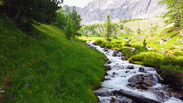 Dolly: beautiful creek in the French alps