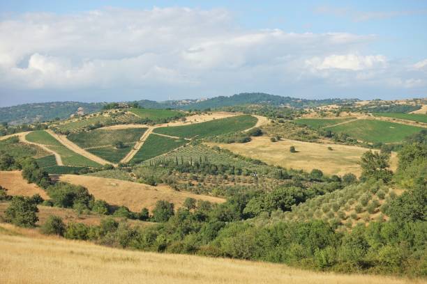 istock Tuscan landscape with hills - Maremma 1334807866