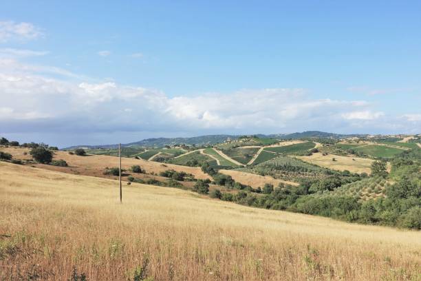 istock Tuscan landscape with hills - Maremma 1334807978