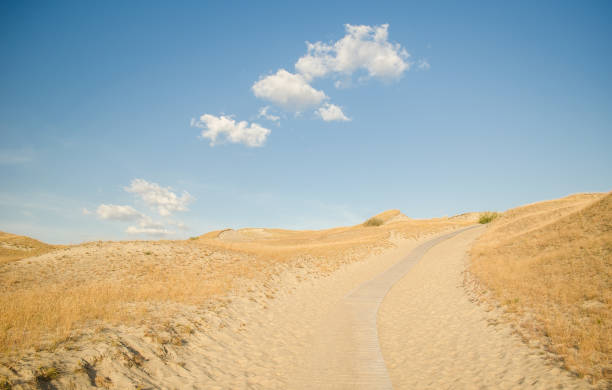 istock Grey dunes in sunny summer day with sand, grass and trail, Lithuania 1334812166