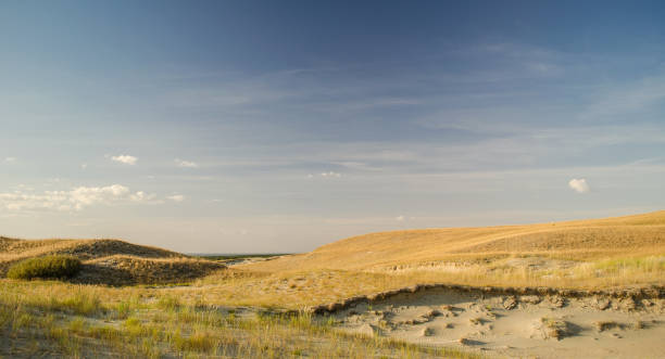 istock Grey dunes in sunny summer day with sand and grass, Lithuania 1334812182