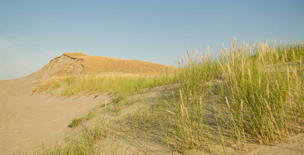 istock Grey dunes in sunny summer day with sand and grass, Lithuania 1334812185