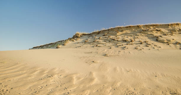 istock Grey dunes in sunny summer day with sand and grass, Lithuania 1334812193