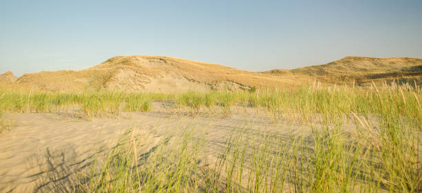 istock Grey dunes in sunny summer day with sand and grass, Lithuania 1334812233