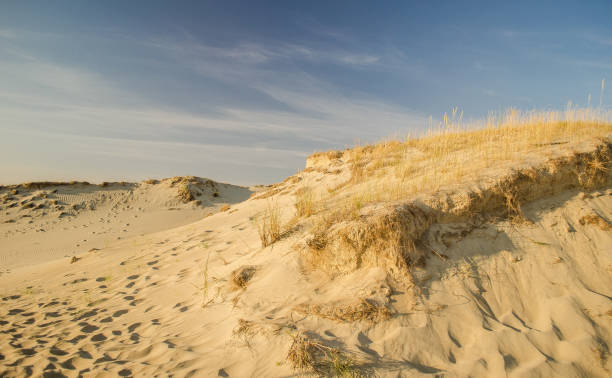 istock Grey dunes in sunny summer day with sand and grass, Lithuania 1334812253