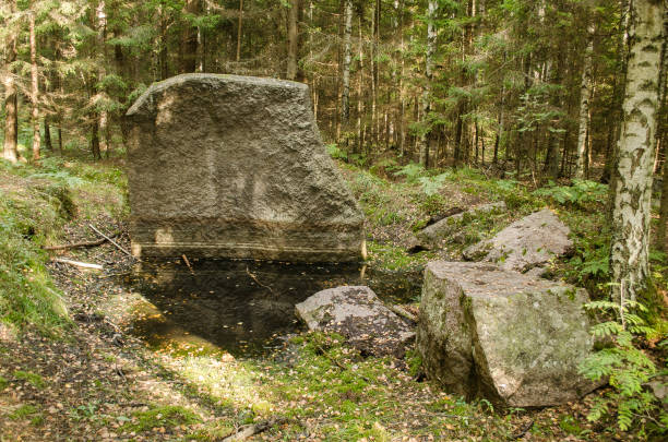 istock Cracked big stone in the forest 1334812422