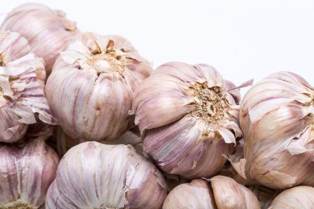 cadeia de alho isolado no fundo branco - garlic hanging string vegetable - fotografias e filmes do acervo