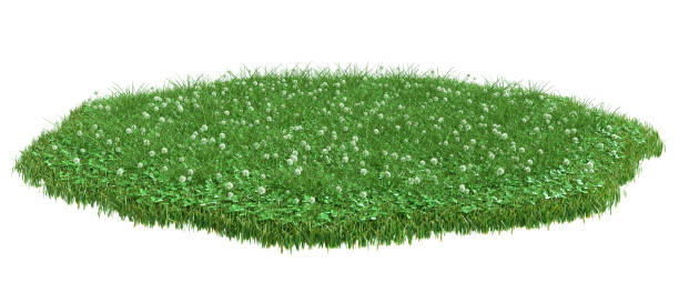 istock Round surface patch covered with clover and green grass isolated on white background. Realistic natural element for design. Bright 3d illustration. 1334816248
