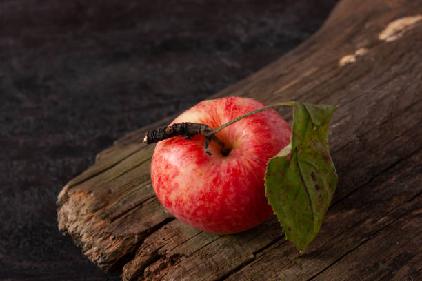 istock the apple lies on a wooden textured board 1334816686