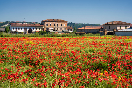 Rural Landscape Near Asti At Springtime Stock Photo - Download Image ...