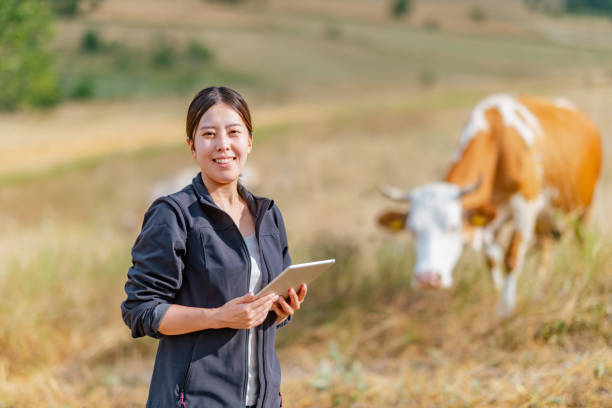 istock Female farmer checking on cattle with digital tablet 1334819107