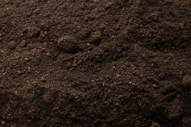 istock Black land for plant background. Top view. 1334820720