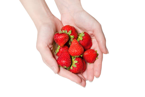 istock Strawberry kept in hands isolated on white background. 1334820807
