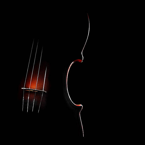 violín en negro - classical chamber fotografías e imágenes de stock