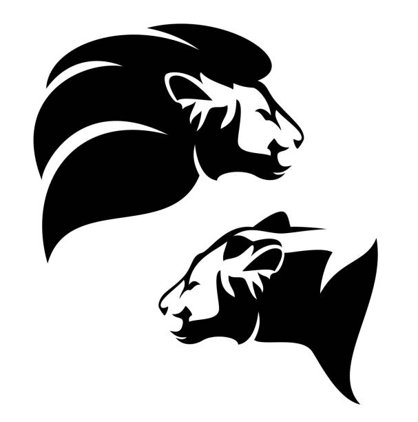 wilder afrikanischer löwe und löwin profilkopf schwarz-weiß vektorporträt - löwin stock-grafiken, -clipart, -cartoons und -symbole
