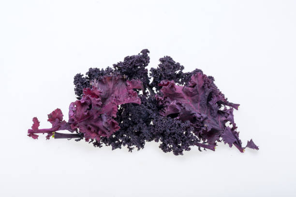 istock Freshly purple curly kale cabbage isolated on white background 1334823029