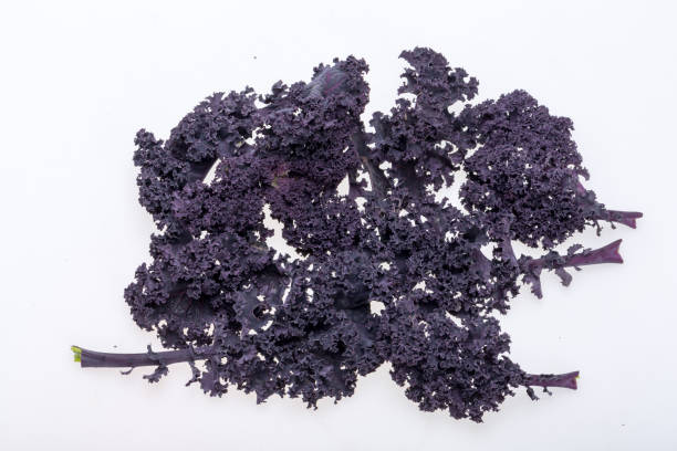 istock Freshly purple curly kale cabbage isolated on white background 1334823035