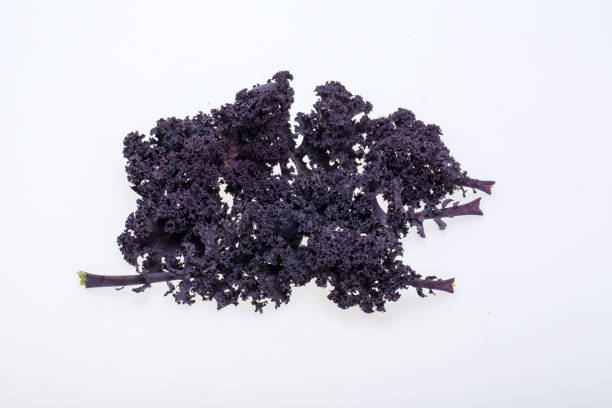 istock Freshly purple curly kale cabbage isolated on white background 1334823054