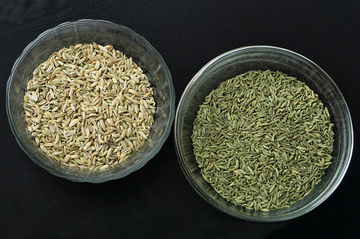 Two variations of Fennel Seeds, Satara, Maharashtra, India