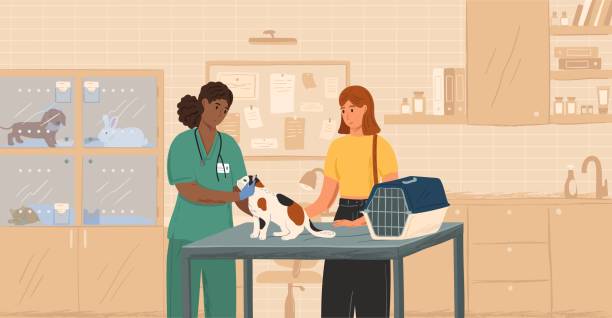 bildbanksillustrationer, clip art samt tecknat material och ikoner med black female veterinarian examining cat concept vector illustration. vet doctor curing pets. customer with cat visit veterinary clinic - veterinär, undersökning