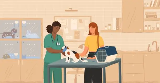 Vector illustration of Black female veterinarian examining cat concept vector illustration. Vet doctor curing pets. Customer with cat visit veterinary clinic