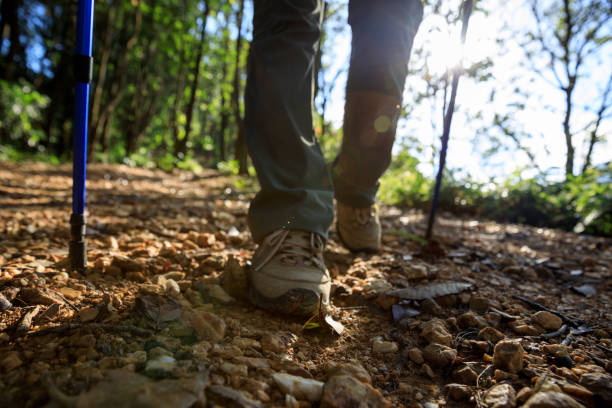 istock Woman hiking in summer forest mountain 1334828636
