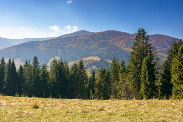 istock landscape with coniferous forest on the hill 1334830951