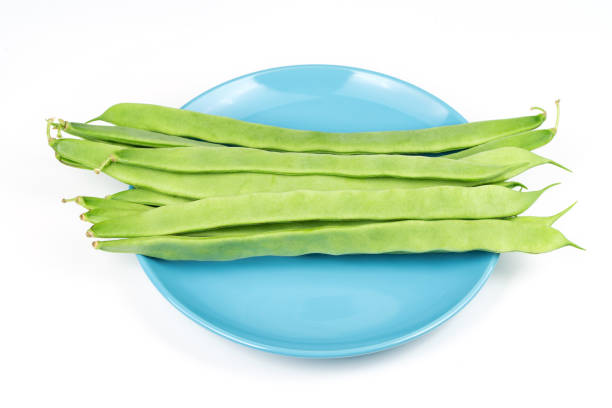 Hyacinth Bean in Blue Plate on White Background
