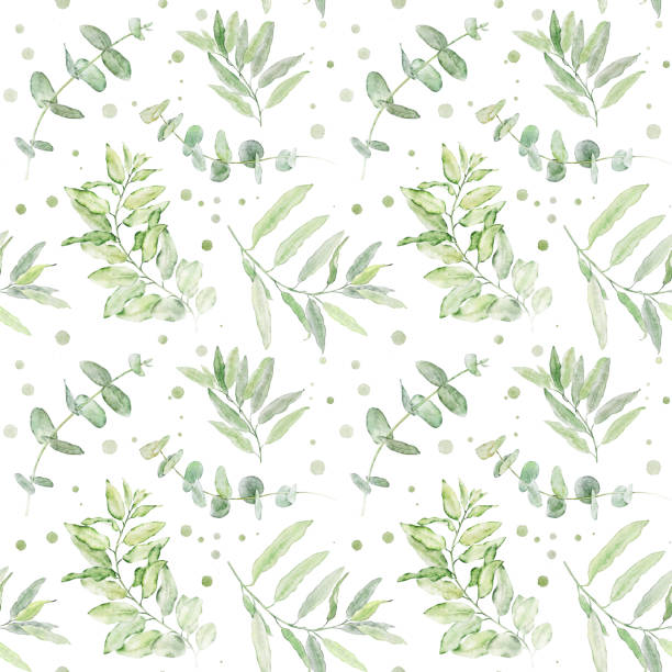 ilustrações de stock, clip art, desenhos animados e ícones de watercolor seamless floral pattern with green leaves isolated on white background. - gray silver environmental conservation backgrounds