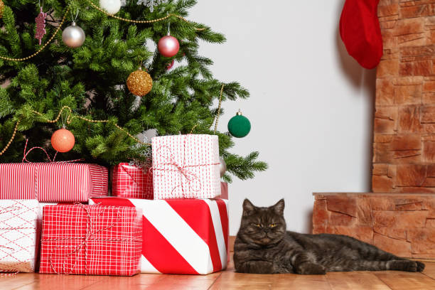 istock Christmas tree with gifts and a black cat. Close-up. 1334837844