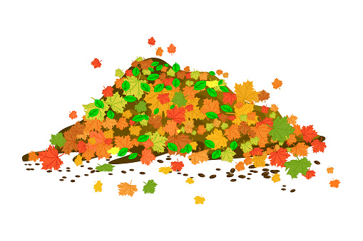 Big heap colorful maple foliage. Multicolored dry leaves fall on pile. Stack with fallen orange leaves. Season concept. Stock vector illustration