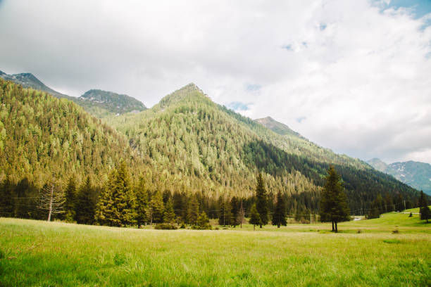 istock natural landscape with green mountain peaks in summer 1334841429