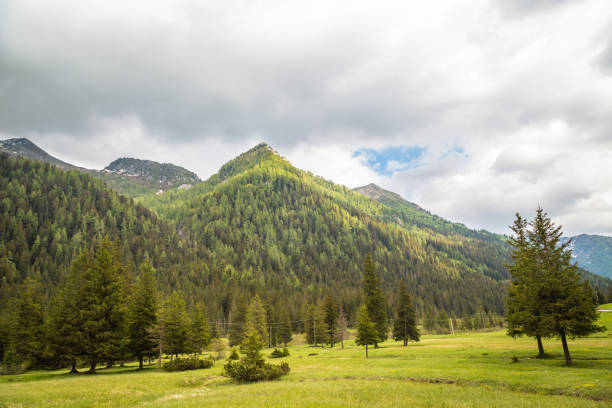 istock natural landscape with green mountain peaks in summer 1334841731