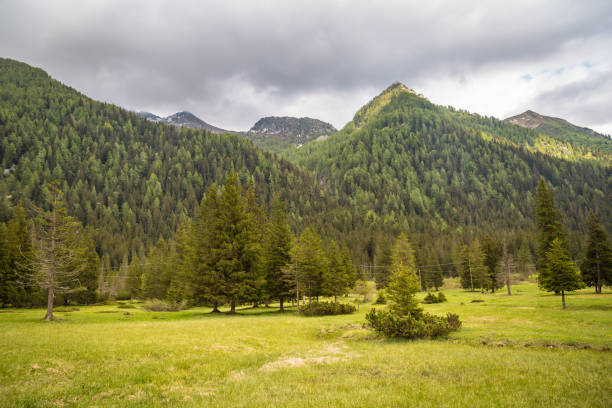 istock natural landscape with green mountain peaks in summer 1334841759