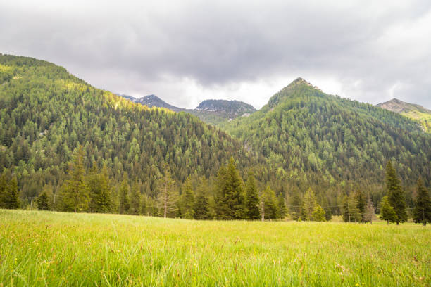 istock natural landscape with green mountain peaks in summer 1334841761