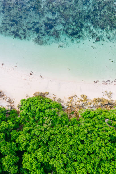 istock Blue ocean, white sand beach and cliffs covered with tropical plants. Bali shores from above. Aerial drone shot. 1334841842