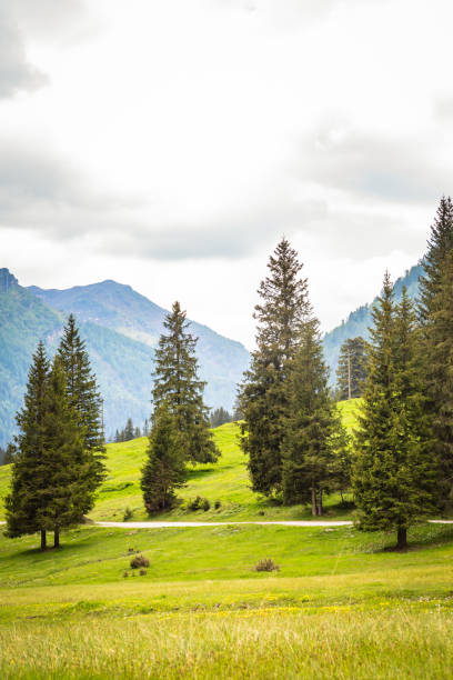 istock natural landscape with green mountain peaks in summer 1334841889