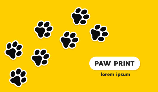 Dog and cat paw print vector icon Dog and cat paw print vector icon paw print stock illustrations