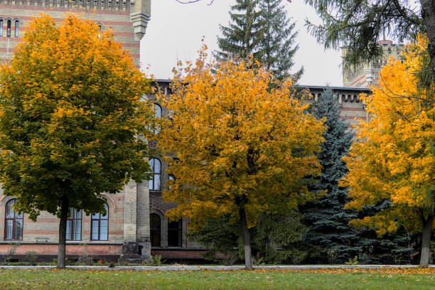 istock Autumn city landscape on a sunny day. 1334844471