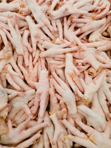 生の鶏の足。 - chicken animal foot farm store ストックフォトと画像