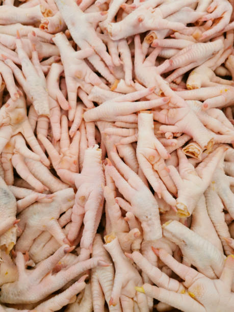 raw chicken feet. - chicken animal foot farm store imagens e fotografias de stock