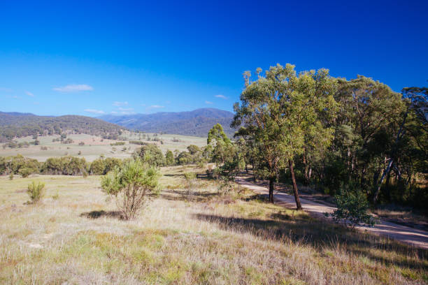 istock Tom Groggin Landscape in Australia 1334844704